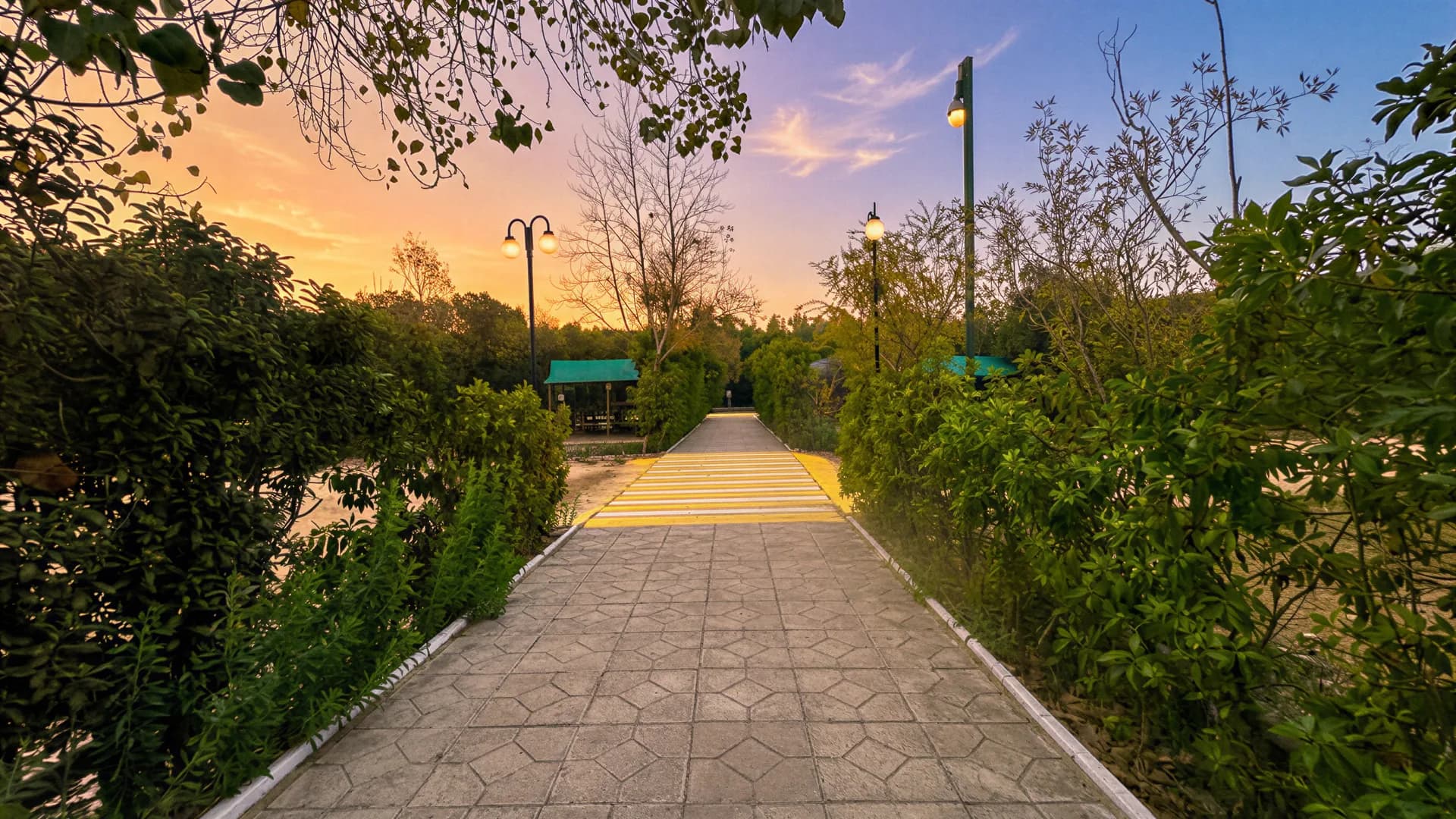 Camping La Villita — foto 2