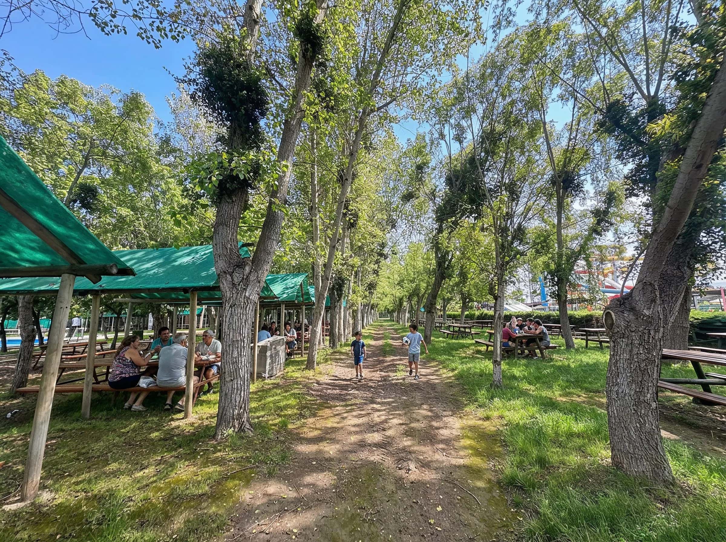 Fila de quinchos con techo verde bajo los árboles en Parque Oasis